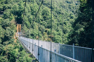 安徽驚險刺激景區全攻略 5D玻璃橋、高空滑索，挑戰你的勇氣極限！